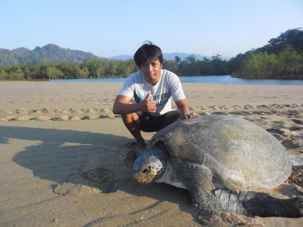 Banyuwangi Homestay Buitenkant foto